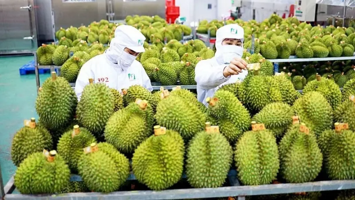 Tiến gần mục tiêu xuất khẩu 10 tỷ USD rau quả